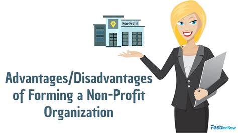 What are the advantages/disadvantages of becoming a nonprofit .